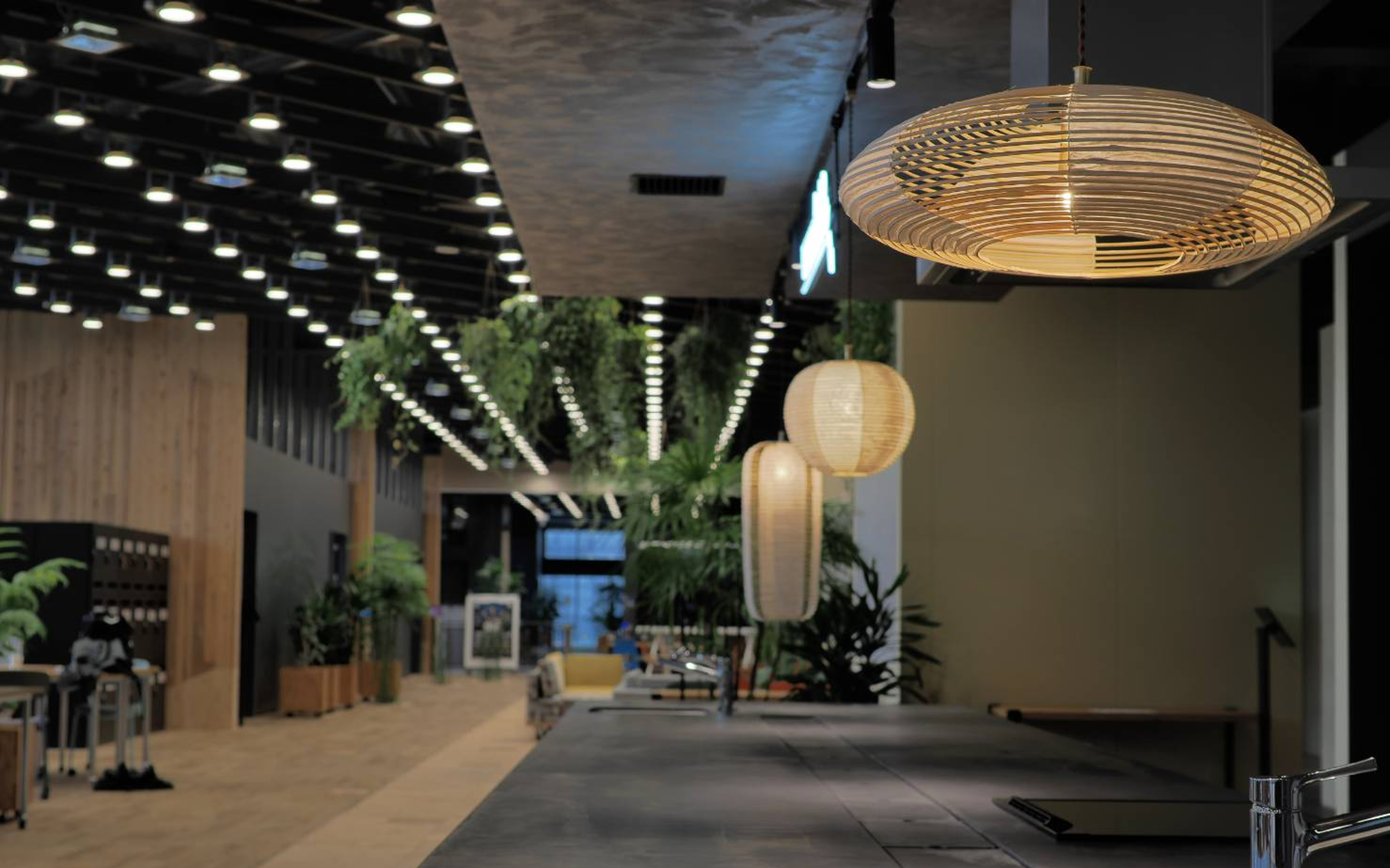 RocaJapan_NOVARE展示